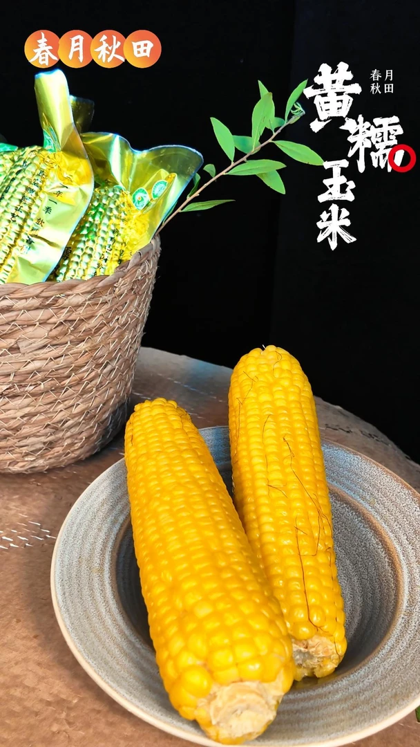 带叶锁鲜黄糯鲜食玉米
