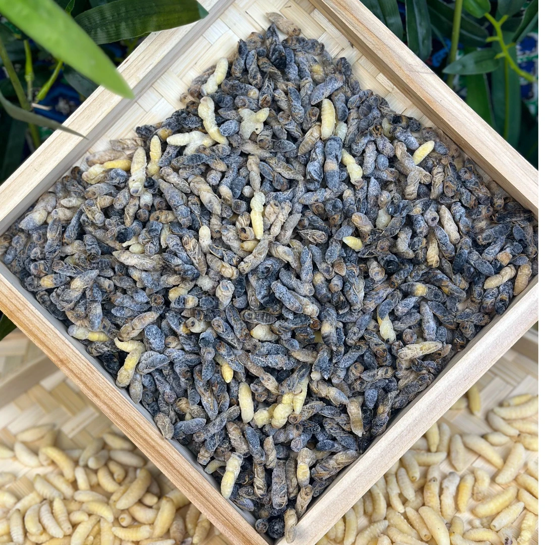 树峰蜂蛹四级蛹纯野500g