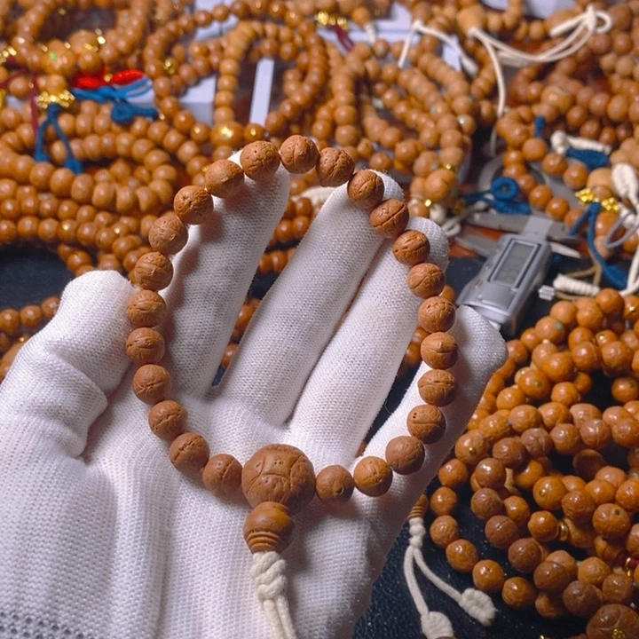 学**汪尼泊尔凤眼菩提树籽