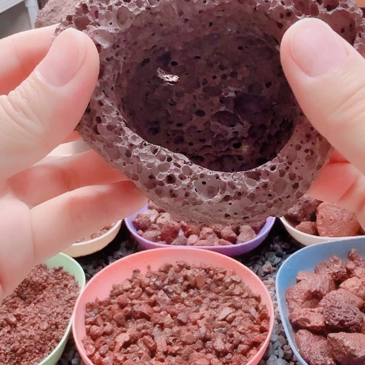火山石花盆多肉绿植
