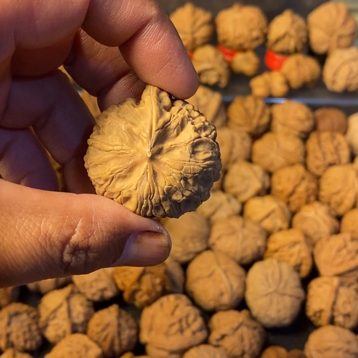 过***客大叶紫檀（黑酸枝木类）