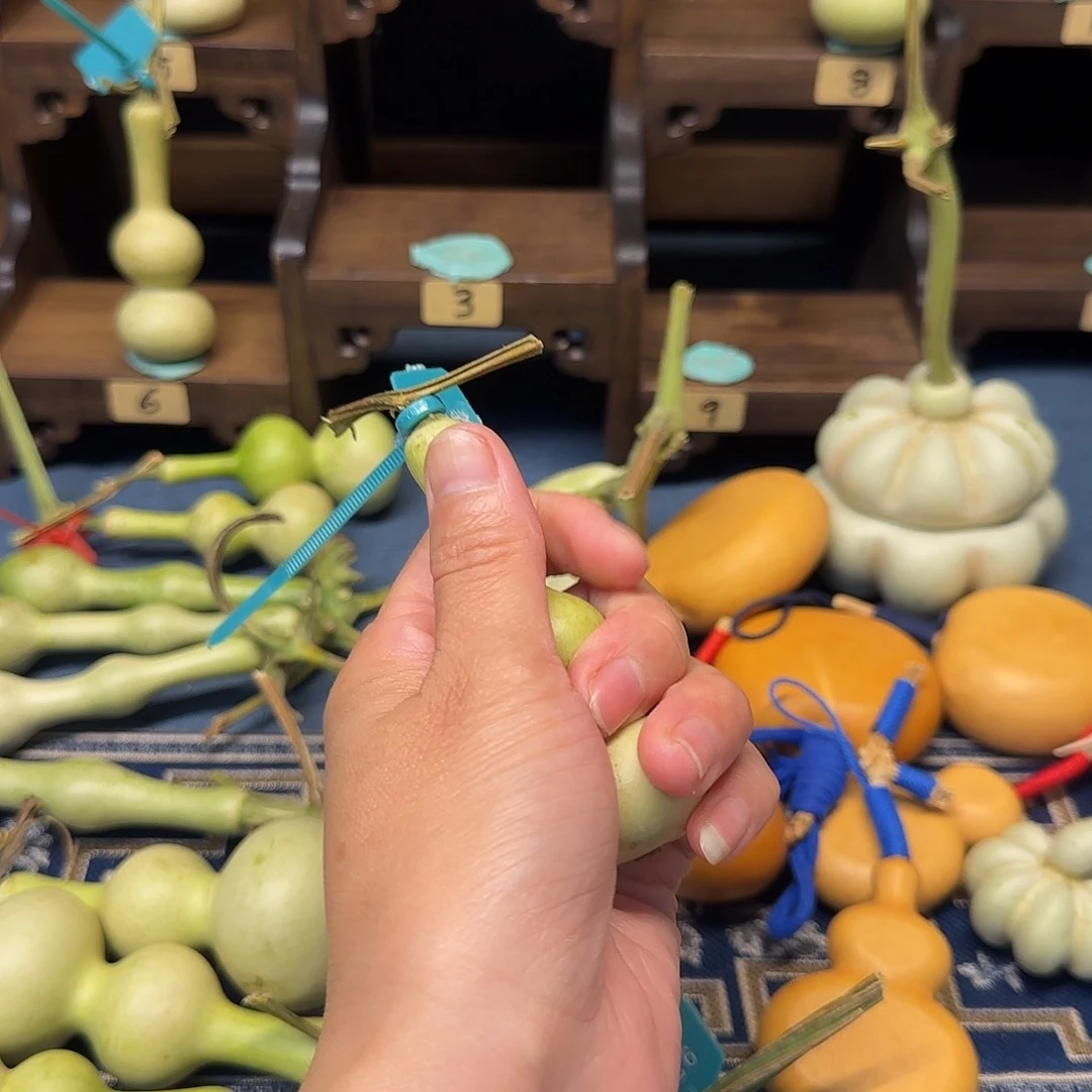 发***A精品文玩手把小尺寸葫芦