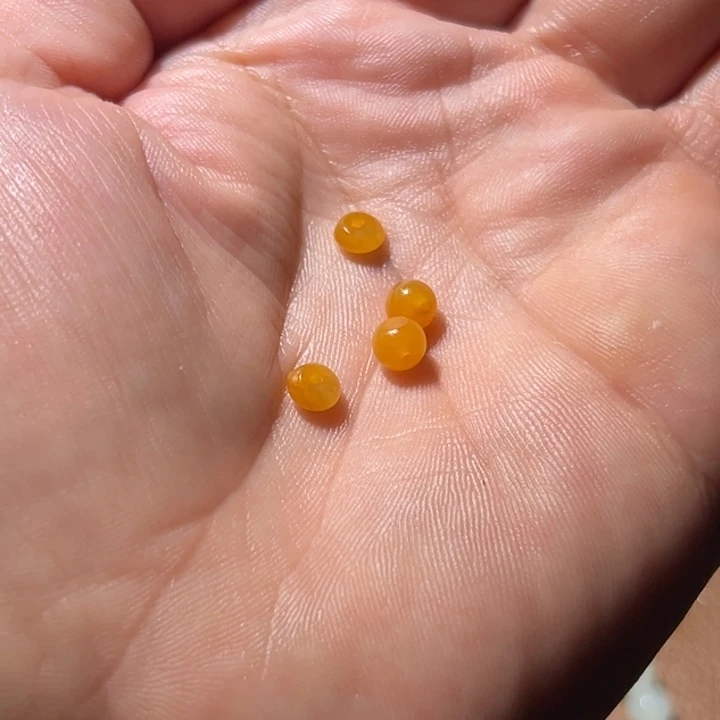 德***妈和田玉未镶嵌手链