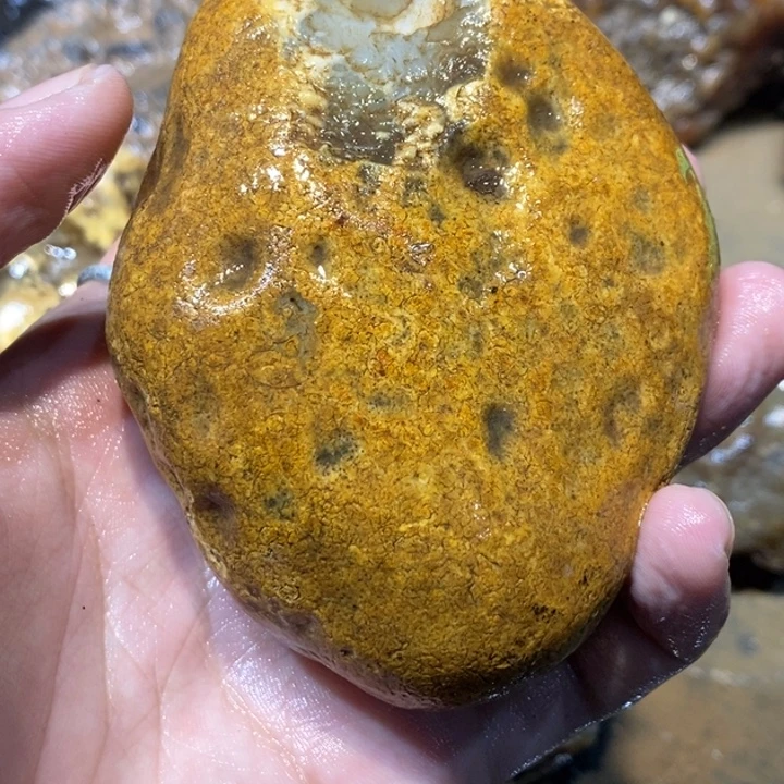 未镶嵌玛瑙/玉髓珠宝半成品