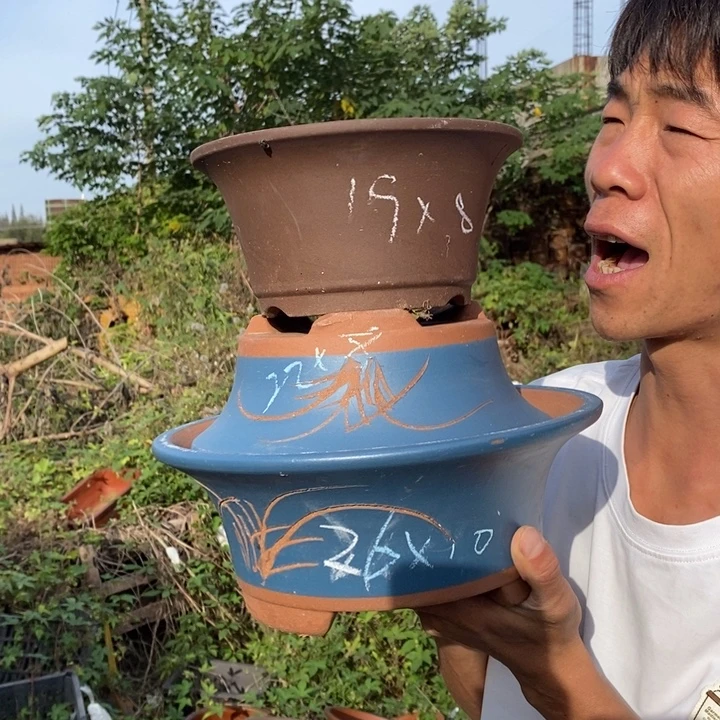 紫砂花盆我们都是好孩子呀。我