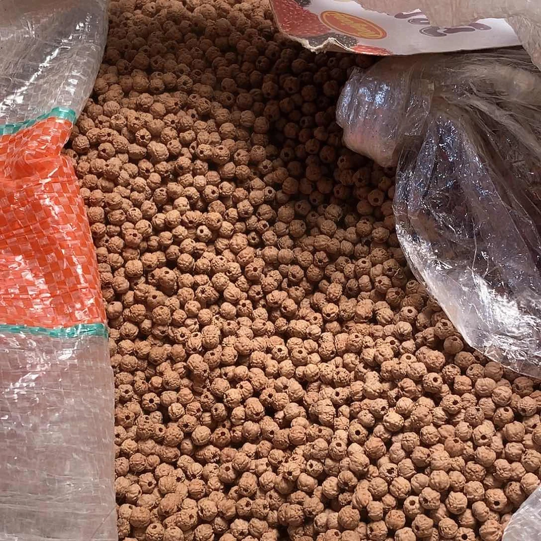 金刚菩提手串500颗4-5nm原装五爪佛手