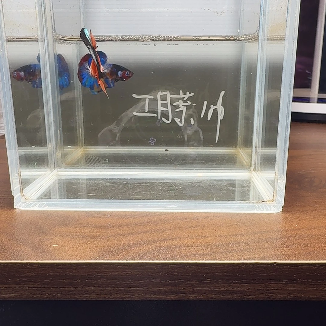 哈哈哈哈哈哈哈哈热带海域公