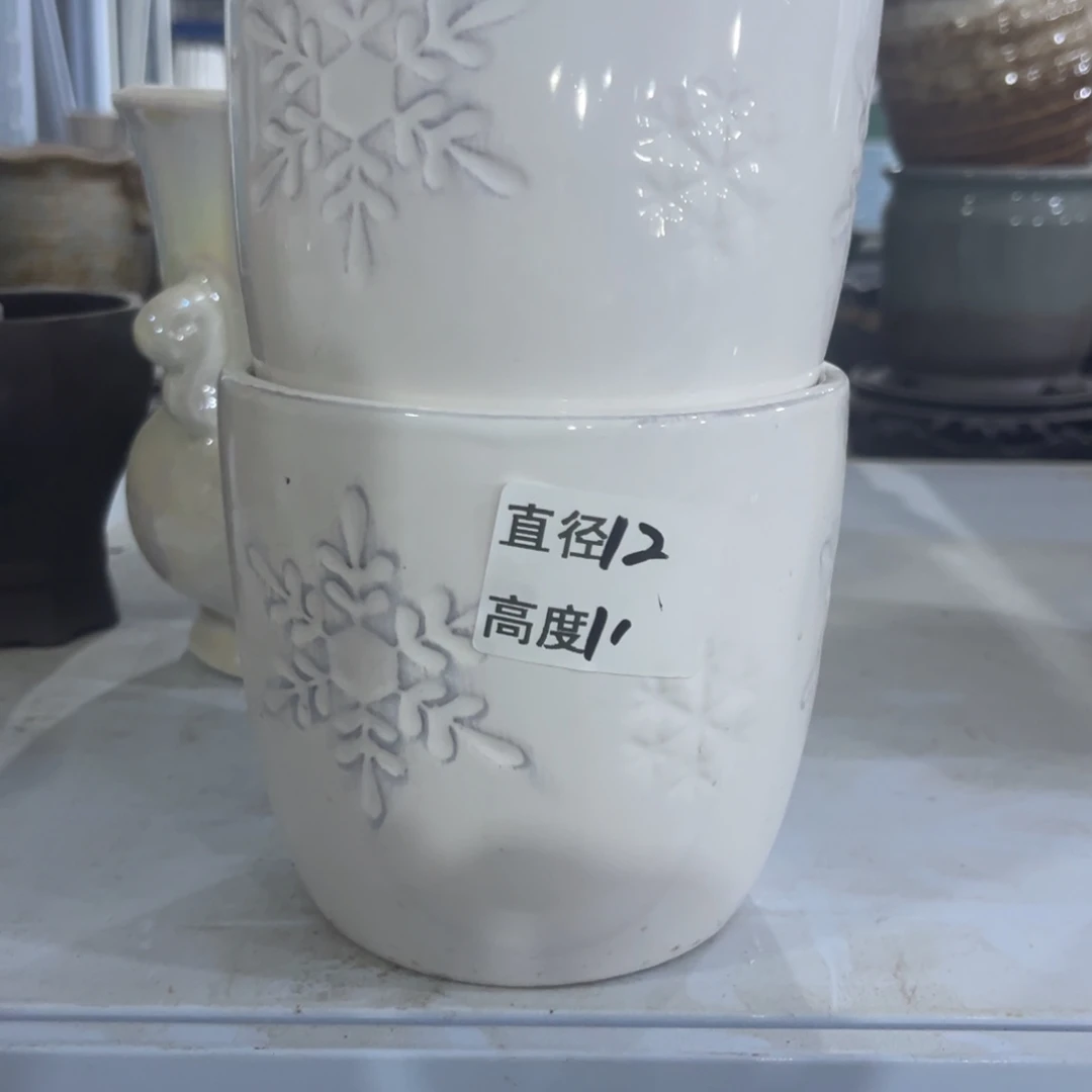 多肉葡萄花盆多肉