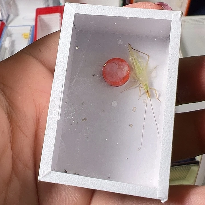 用***5蟋蟀哈哈哈哈哈哈哈哈哈哈哈