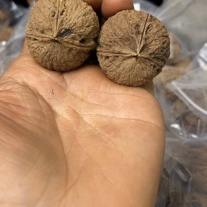 核桃云南铁核桃基地89