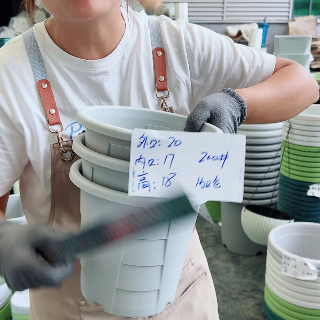 玫瑰200#灰白色5个无托