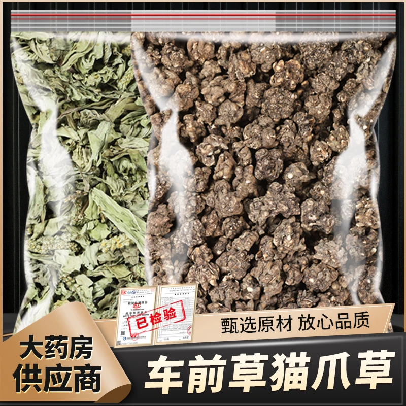 车前草猫爪草药包独立包装正品原料干货车轮草袋泡茶猫抓草泡水