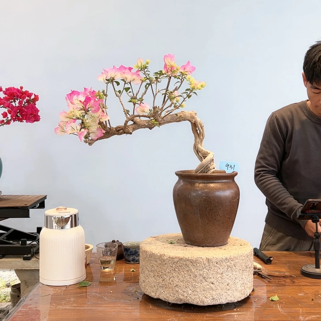 【闪购商品】a a931