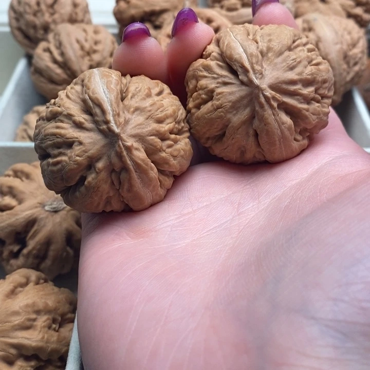 风***生吊坠文玩核桃霸王龙