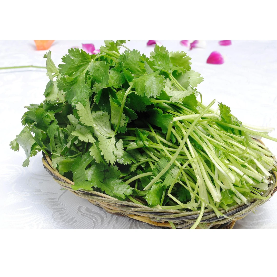 新鲜香菜 100g/份
