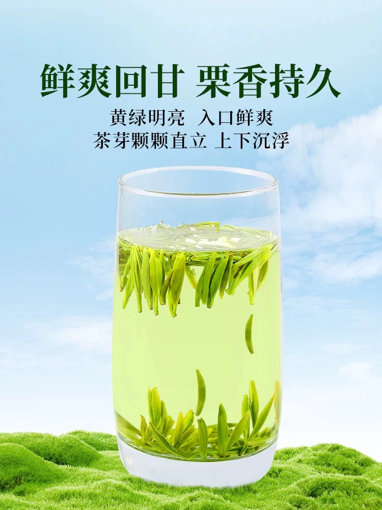 明前雀舌绿茶春茶高山新茶栗香饱满鲜爽回甘
