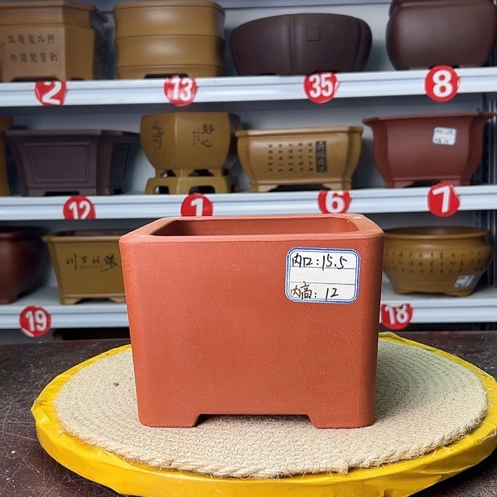 花盆紫砂蛇年大吉