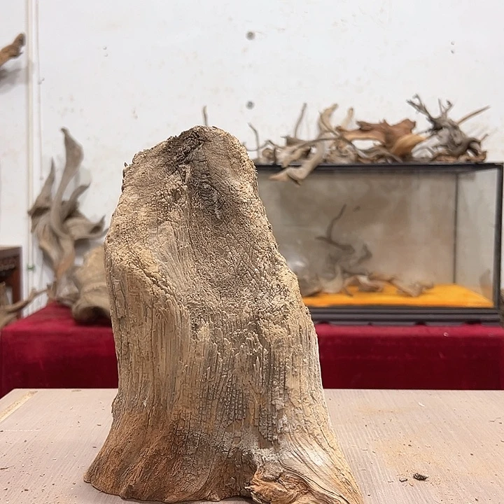 柏木h*i我们都是好孩子呀我也