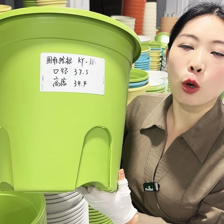 正品圆控口38高34果绿5只无托