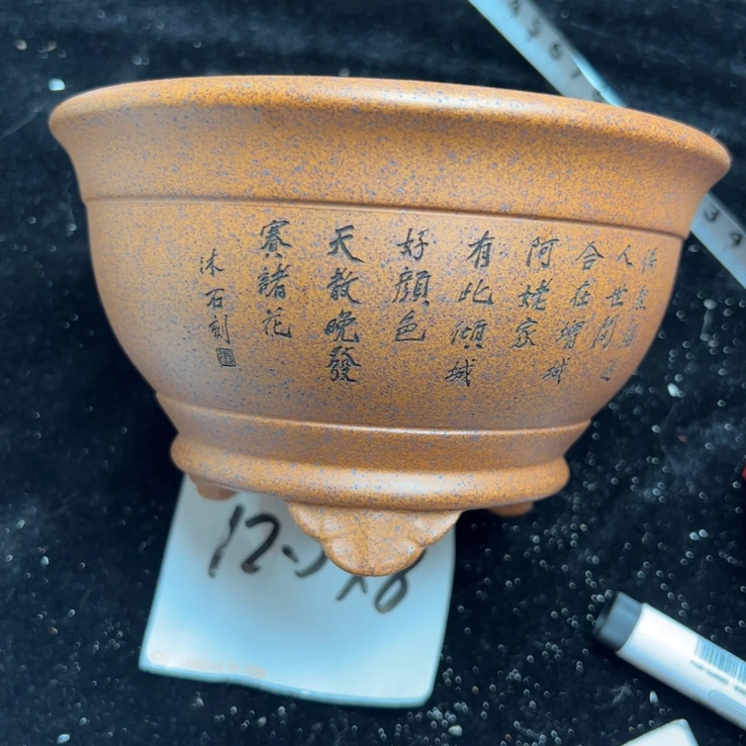 wwwww鹅鹅鹅鹅鹅鹅