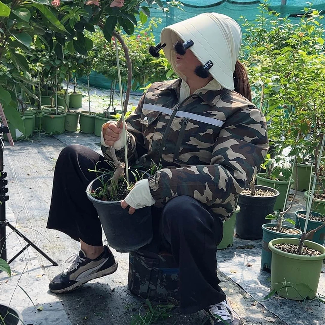 当前无花栽培后可以开花黑盆原生棒棒糖一颗，29.9