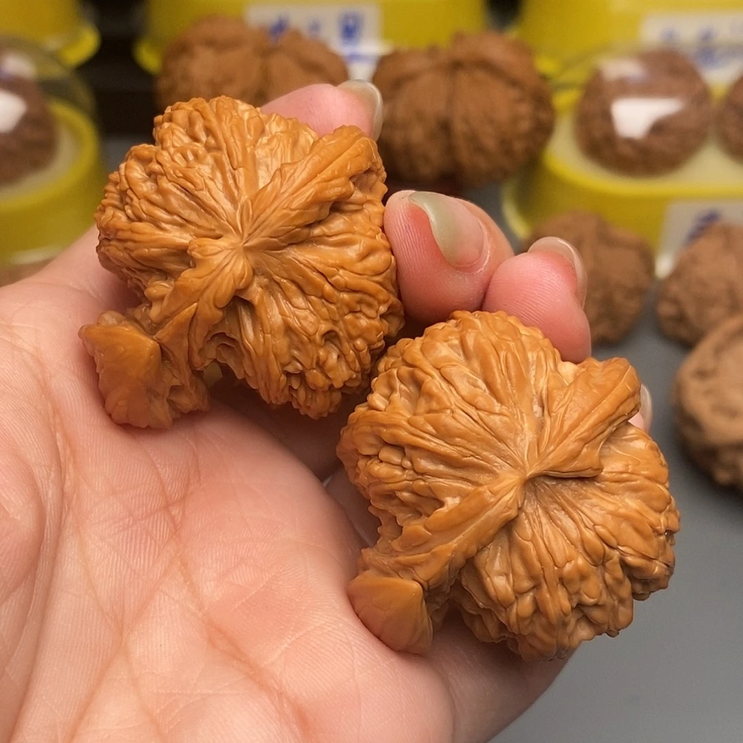 木质类异型犀牛角
