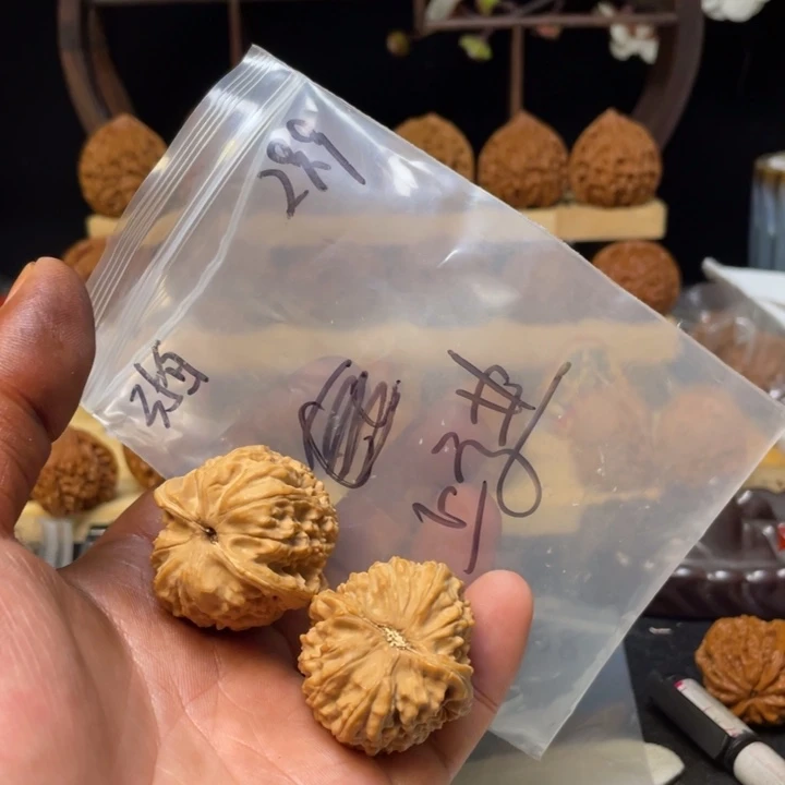 上***习把件文玩核桃白狮子