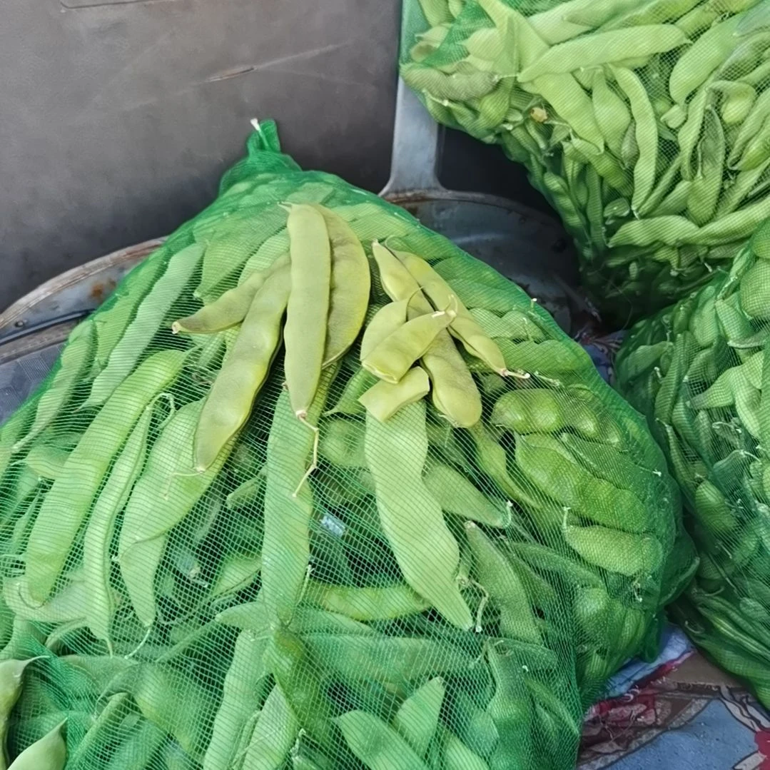 中国大陆五斤油豆包邮