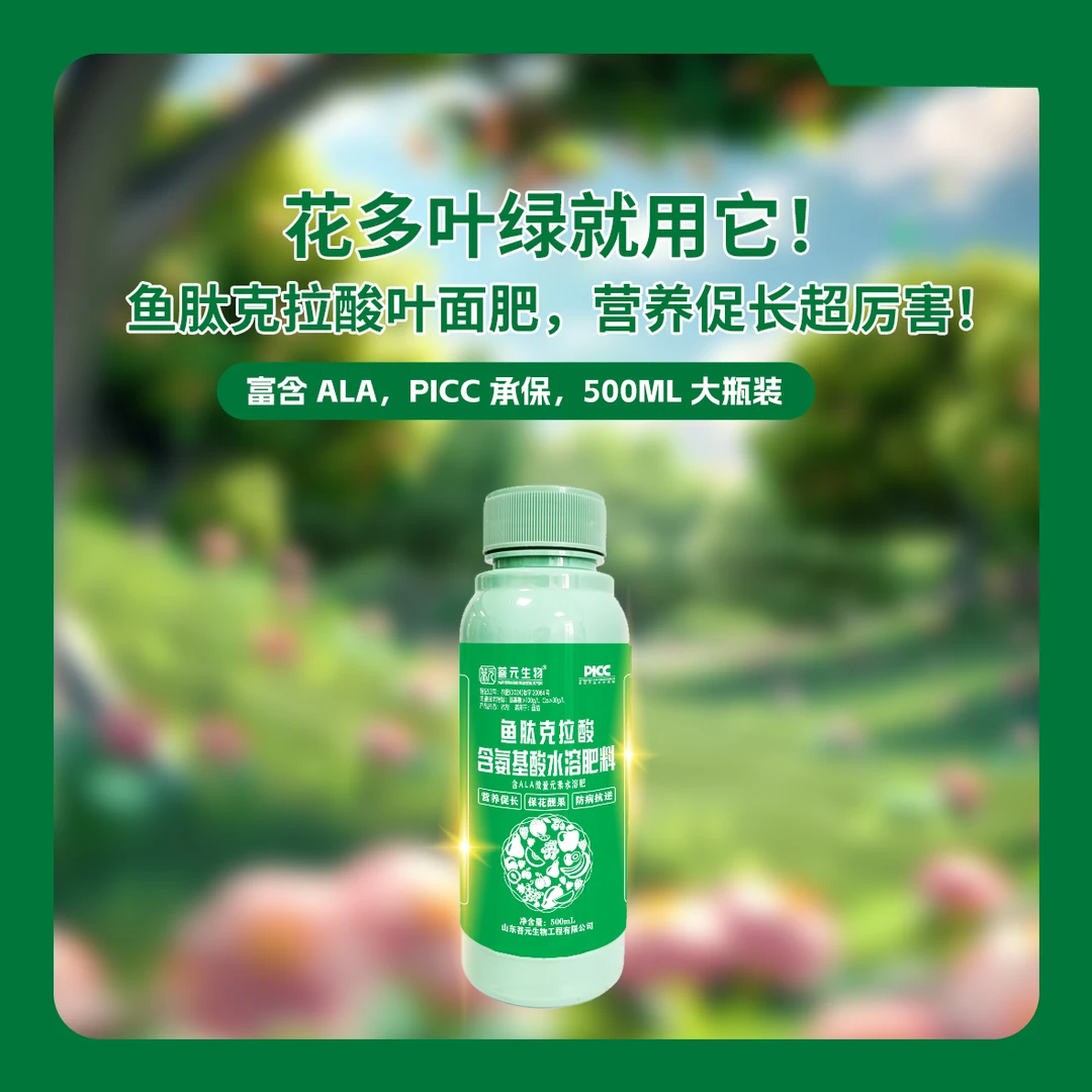 鱼肽克拉酸ALA补充微量元素叶面肥营养叶片萼片变绿促花提糖转色