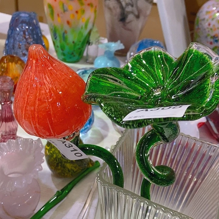 琉璃春****y琉璃花高45口9