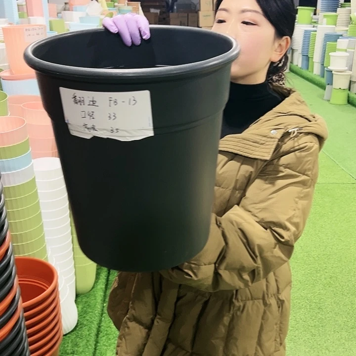 正品翻边口33高35混色5只无托