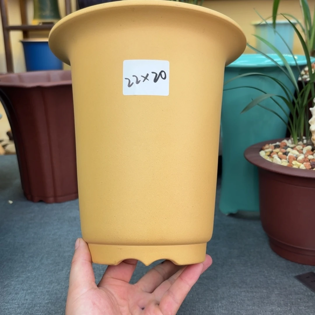 花盆紫砂紫砂8558855585555
