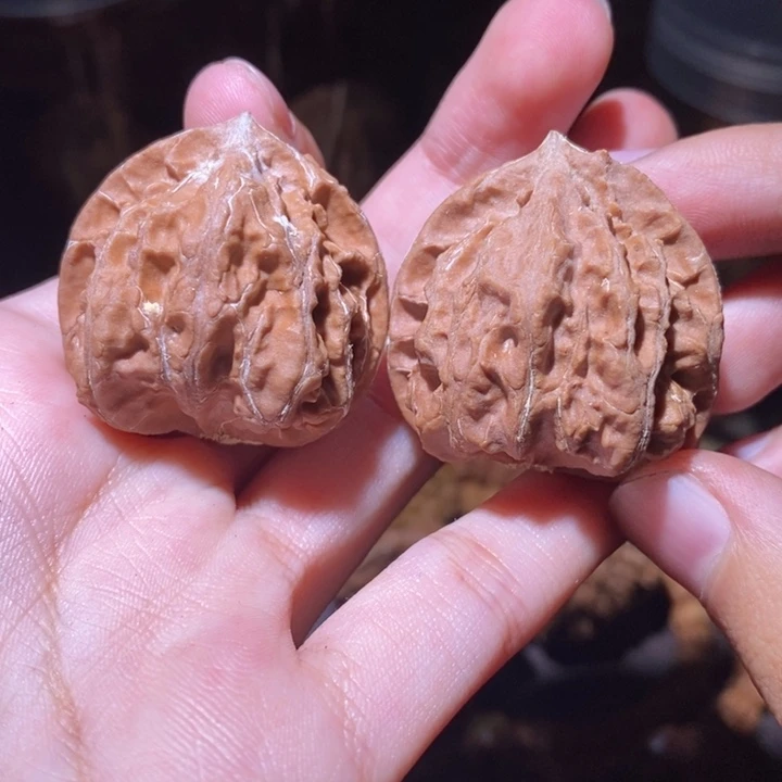 把件文玩核桃东北野生楸子小园221