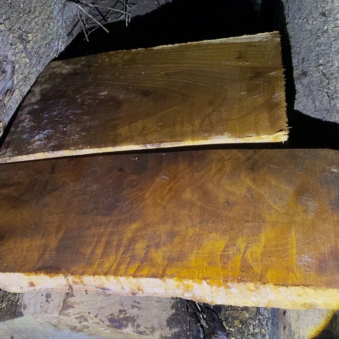 留***悦小叶桢楠金丝楠木