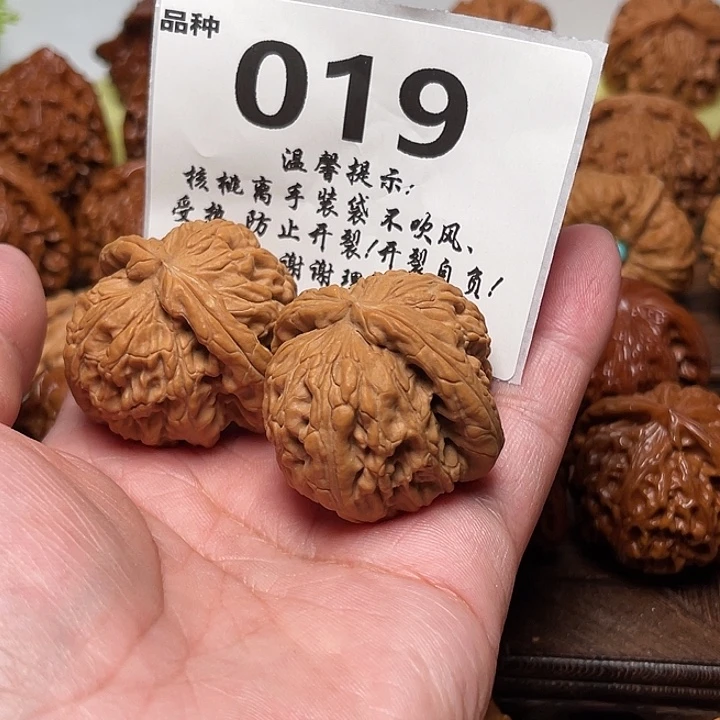 把件桃核白狮子。边39。 019