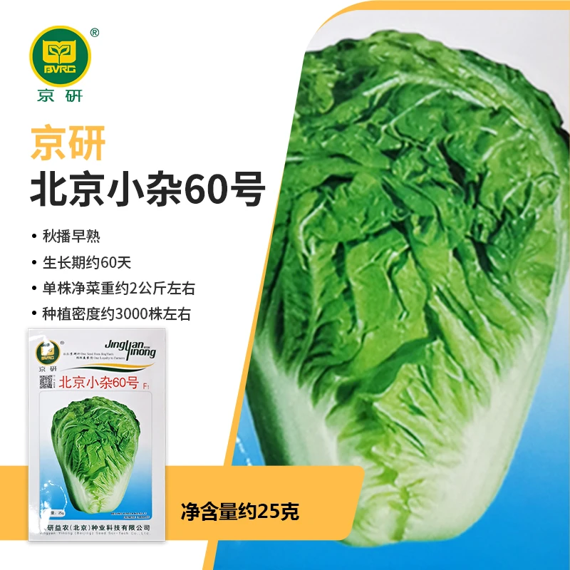 京研【农科院】京研小杂60北京75大白菜种子品种大白菜蔬菜种子秋播