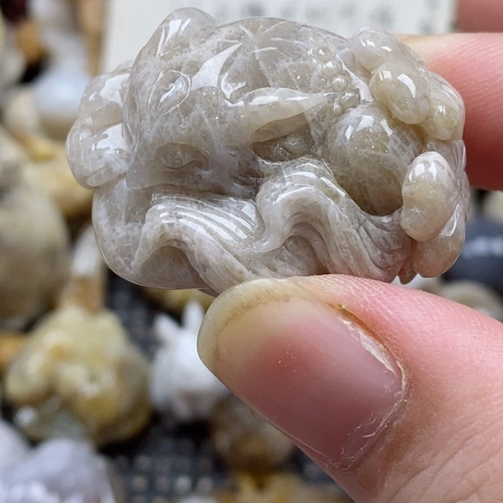 颈饰未镶嵌硅化珊瑚（珊瑚玉）