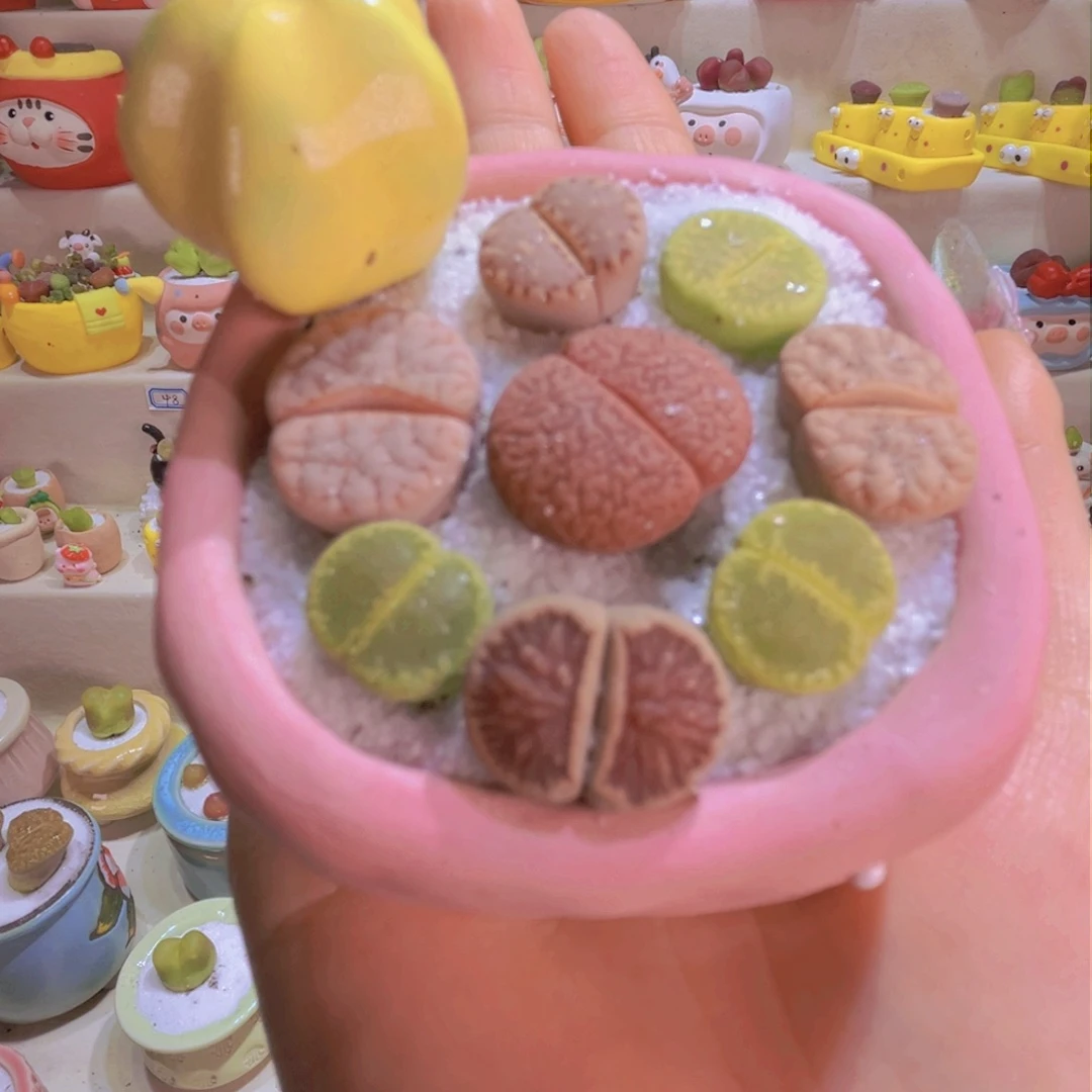 018 手工盆特价带盆带肉
