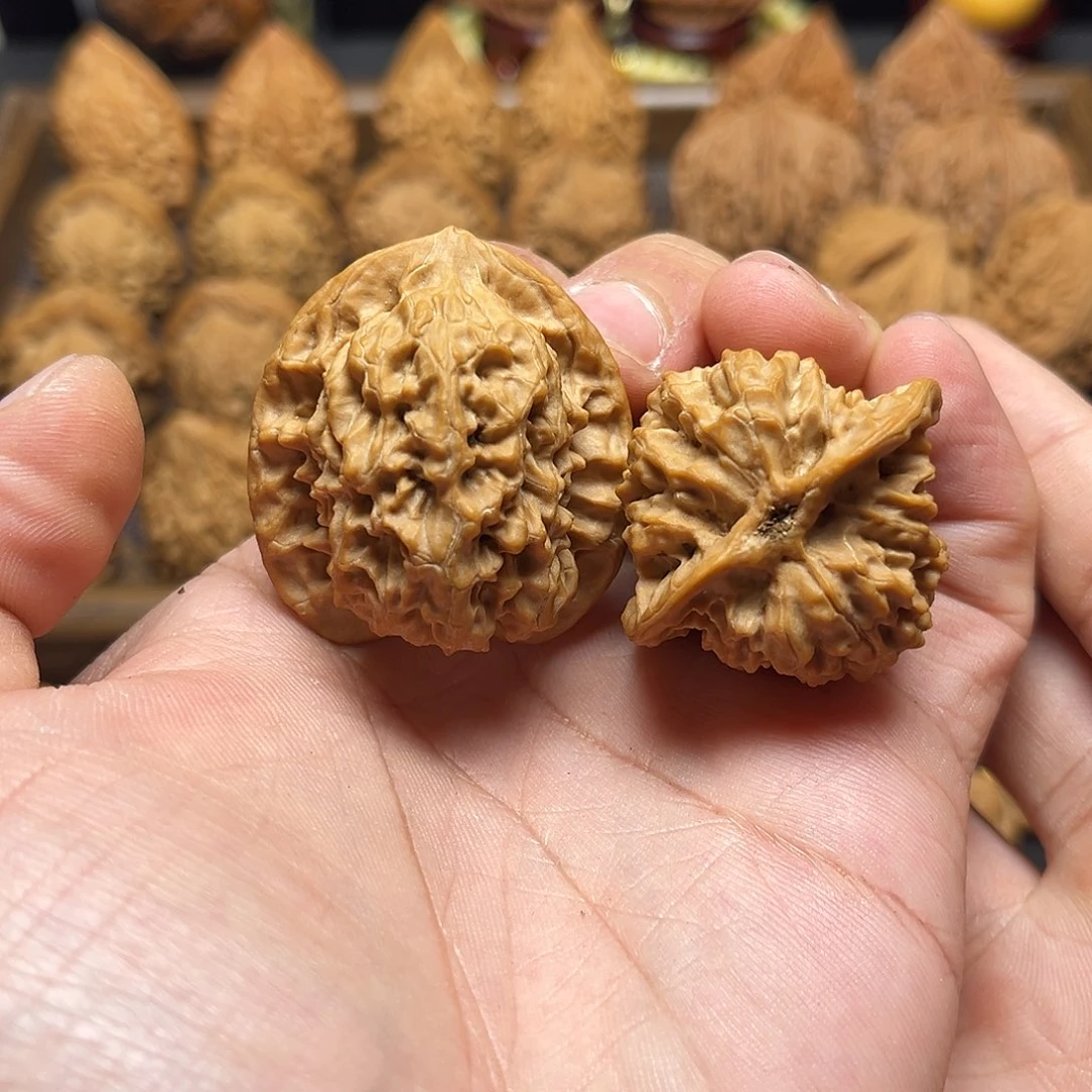 核桃手串/手链老树关关36