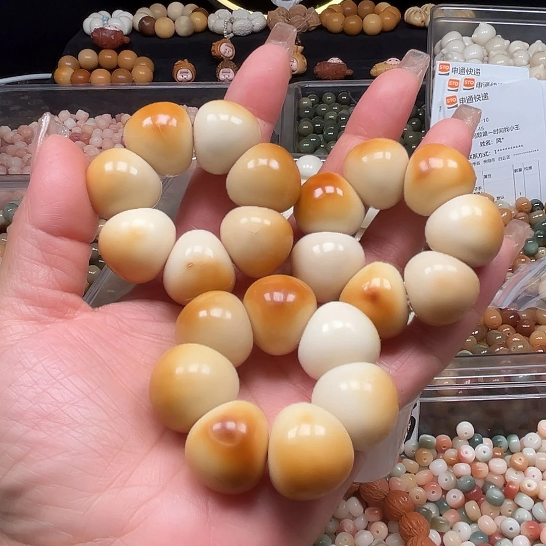 手串菩提根/象牙果瑕疵卡21清炭烧蒜瓣1条表面有裂