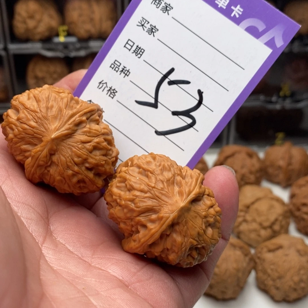 搂****?41黄松峪元宝狮子头全品