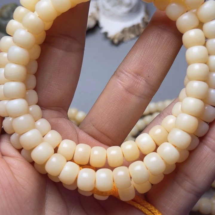 大果紫檀（缅甸花梨）