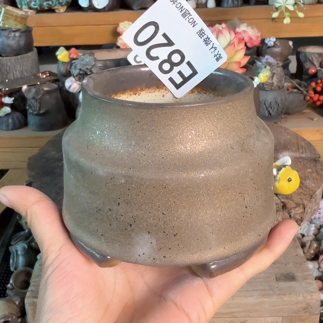 重庆小燕子欢迎大家820