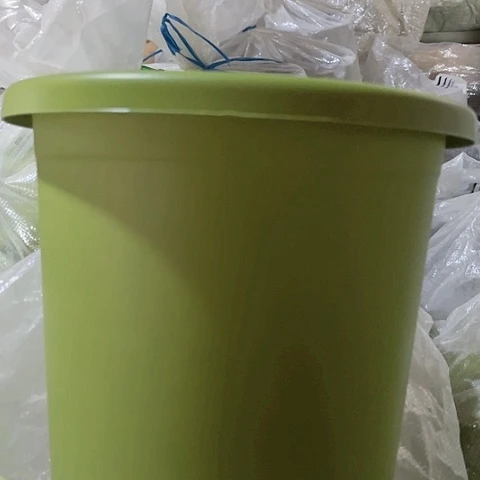 树脂四季4号10个绿无托