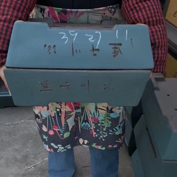 紫砂花盆只顾看手机的