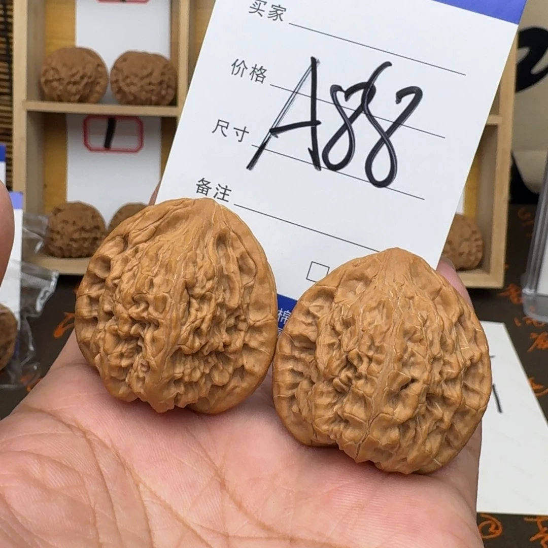 文玩核桃麻核桃望月
