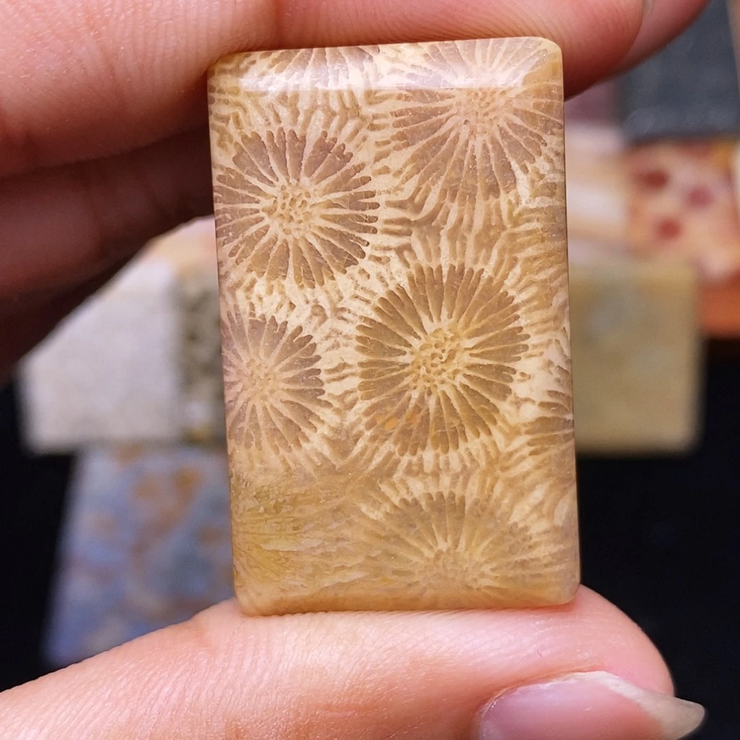 用***2合金珊瑚玉硅化玉