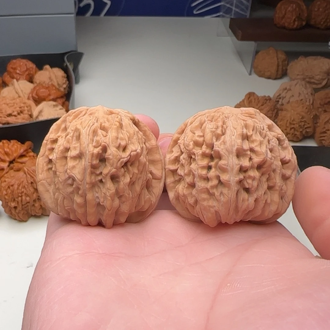 体验对28号45-43-40