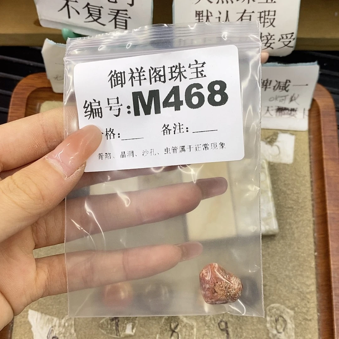 硅化珊瑚（珊瑚玉）未镶嵌颈饰?*?