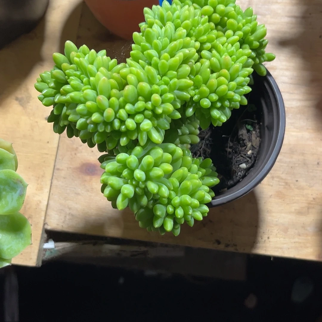 芦***鸡00000000000000001109